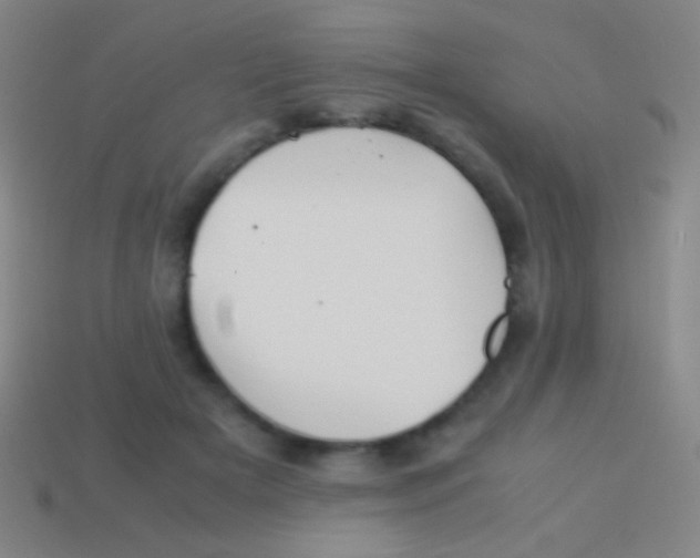 X0000113590505200910161846