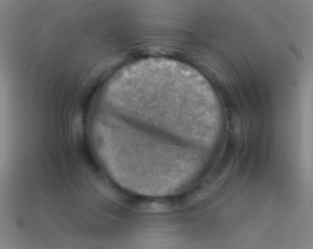 X0000113590506200910161846