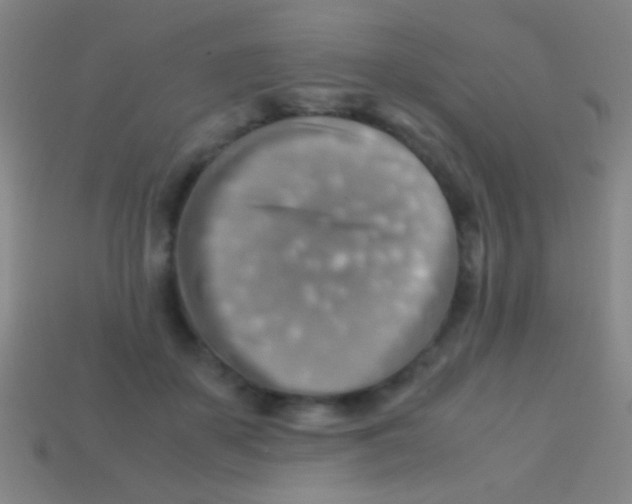 X0000113590507200910161846