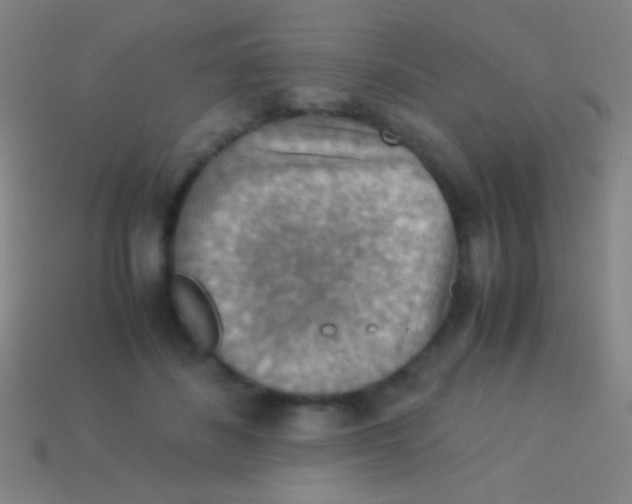 X0000113590508200910161846