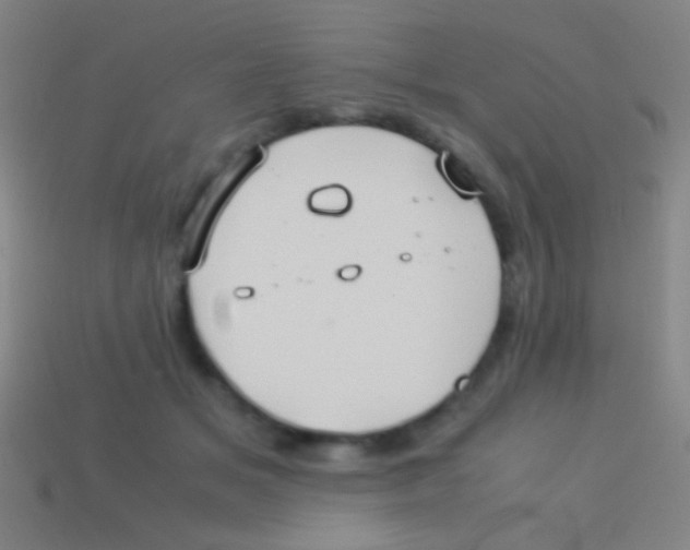 X0000113590509200910161846