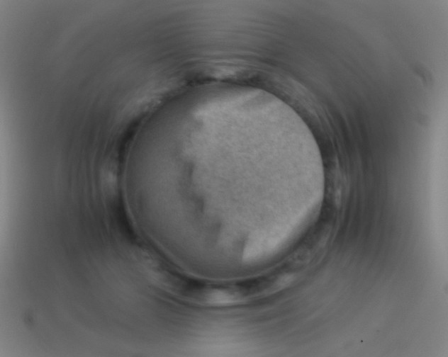 X0000113590510200910161846