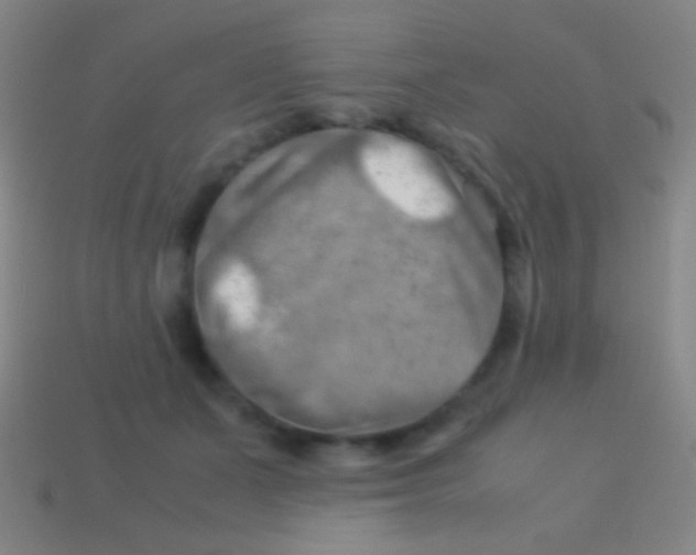 X0000113590511200910161846
