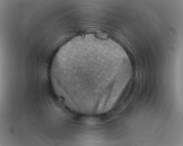 X0000113590512200910161846