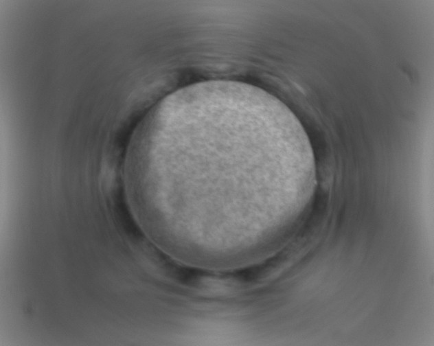 X0000113590515200910161846