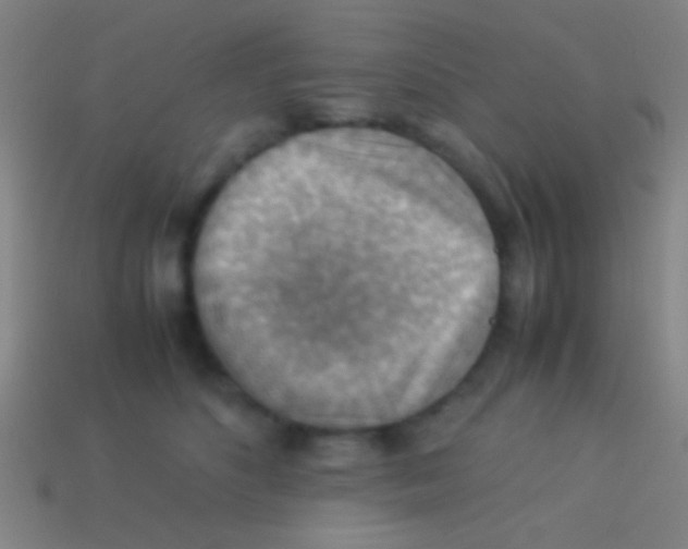 X0000113590516200910161846