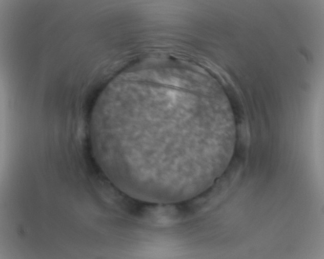 X0000113590517200910161846