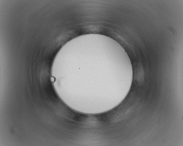 X0000113590518200910161846