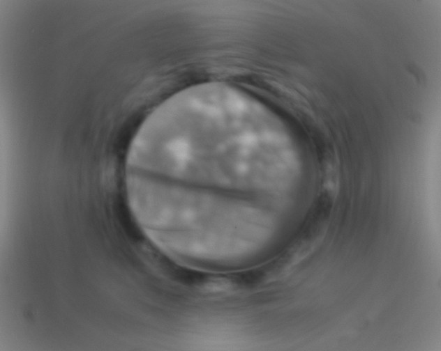 X0000113590519200910161846