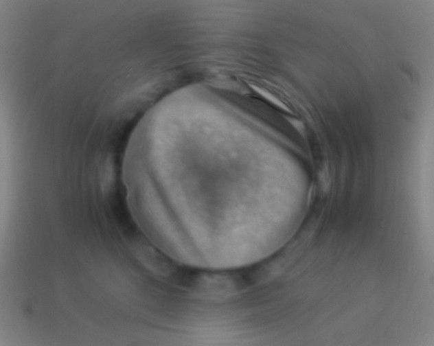 X0000113590520200910161846