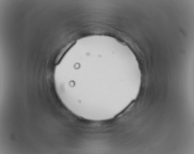 X0000113590521200910161846