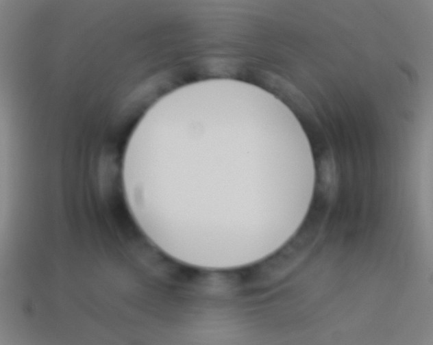 X0000113590522200910161846