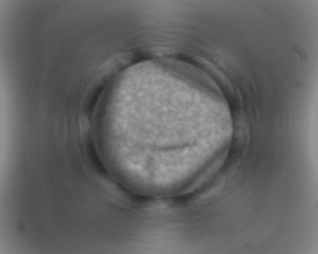X0000113590523200910161846