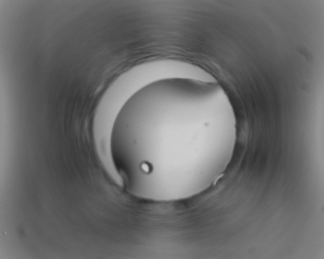 X0000113590524200910161846