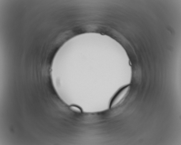 X0000113590525200910161846