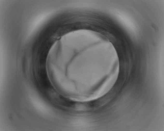 X0000113590526200910161846