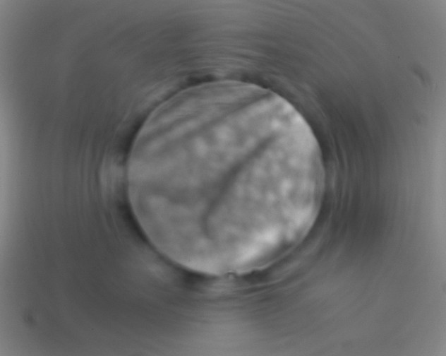 X0000113590527200910161846