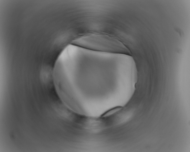 X0000113590528200910161846