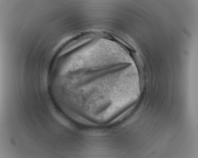 X0000113590530200910161845