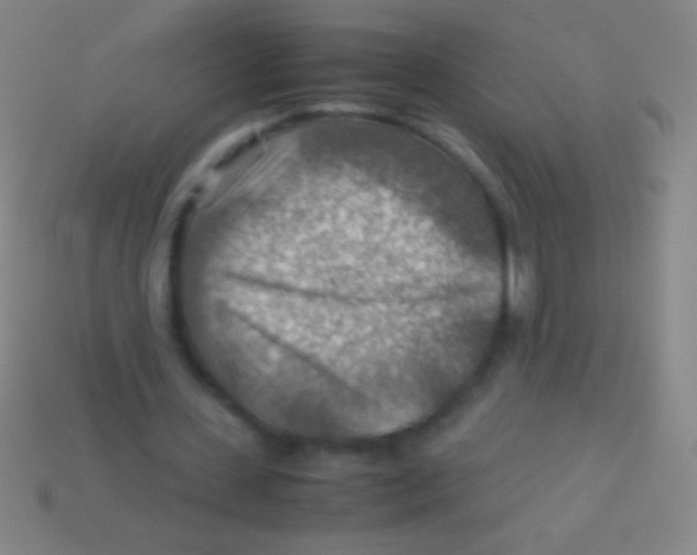 X0000113590531200910161845