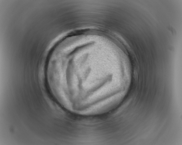X0000113590532200910161845