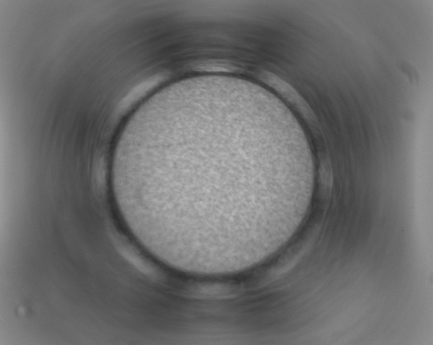 X0000113590533200910161845