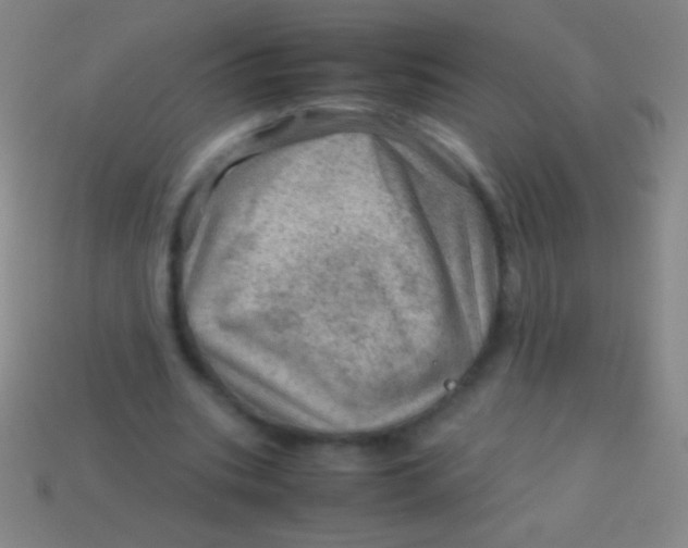 X0000113590535200910161845