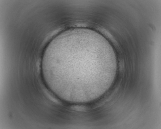 X0000113590537200910161845
