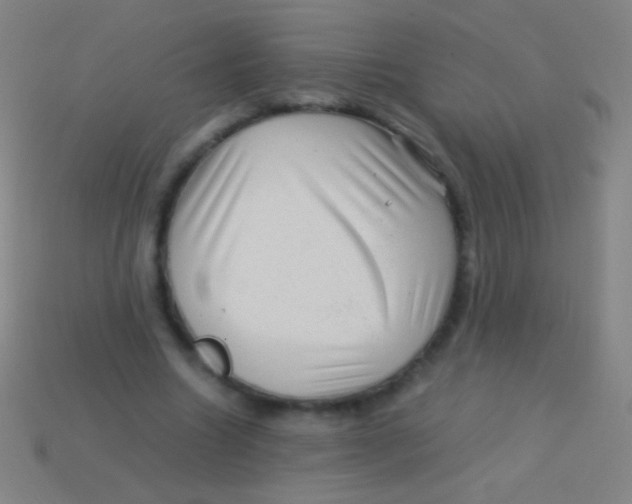 X0000113590538200910161845