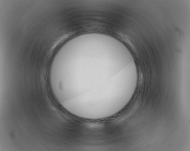 X0000113590539200910161845