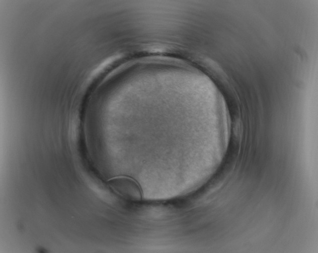 X0000113590540200910161845