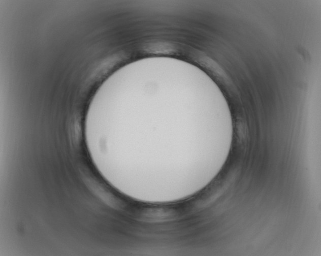 X0000113590541200910161845