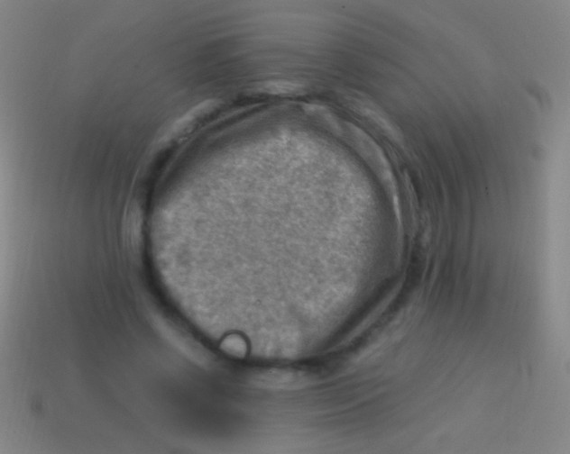 X0000113590542200910161845