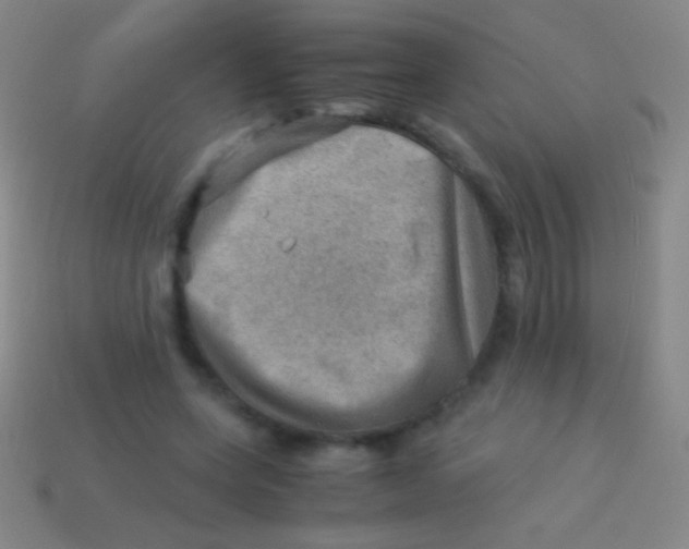 X0000113590543200910161845
