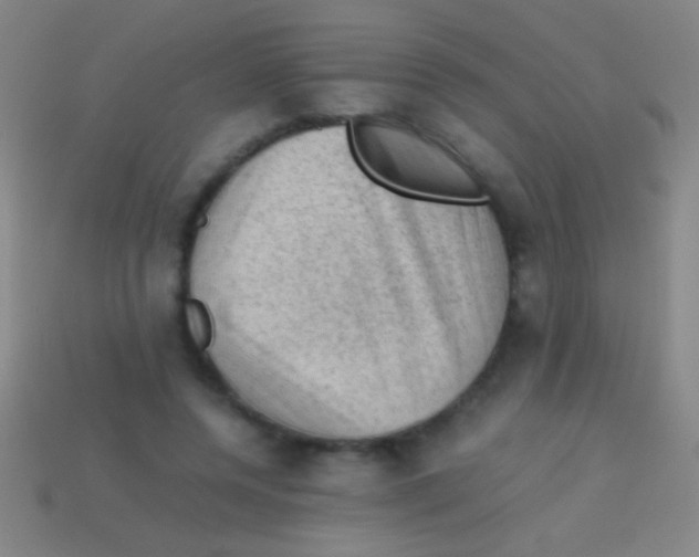 X0000113590544200910161845