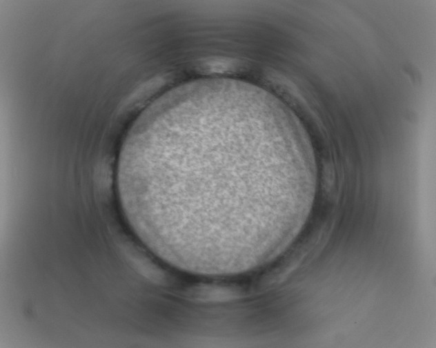 X0000113590545200910161845