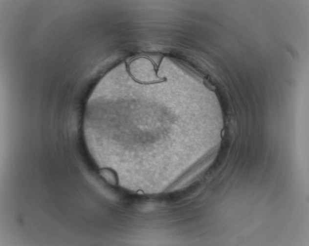 X0000113590546200910161845