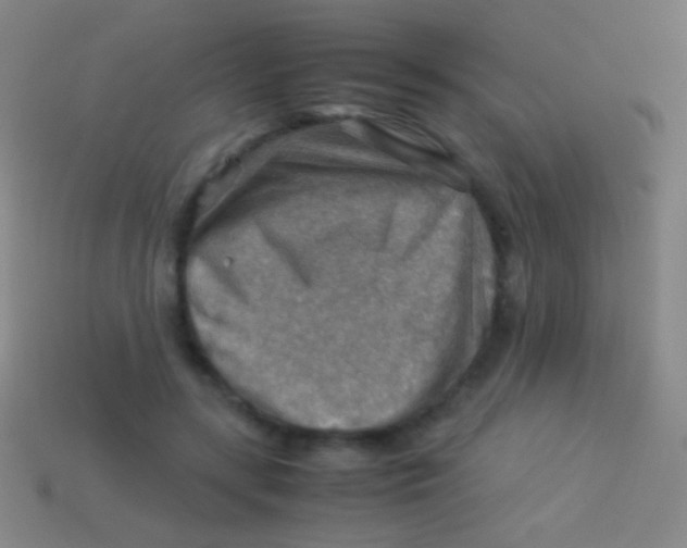 X0000113590547200910161845