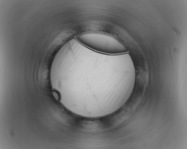 X0000113590548200910161845