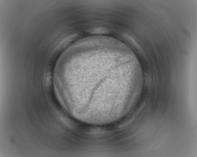 X0000113590549200910161845
