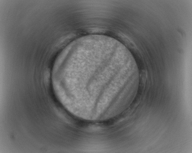 X0000113590550200910161845