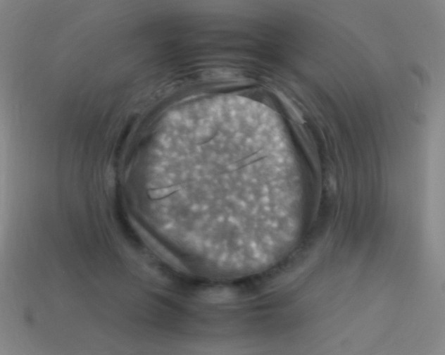 X0000113590551200910161845