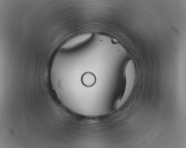 X0000113590552200910161845