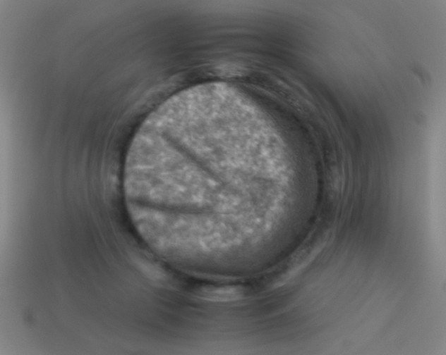 X0000113590553200910161845