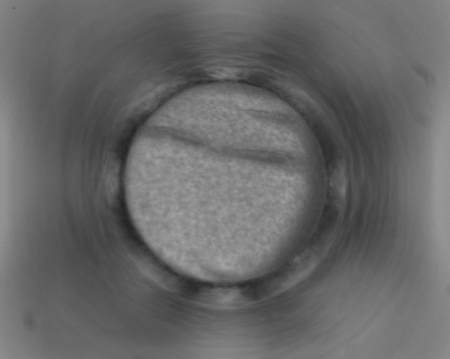 X0000113590554200910161845