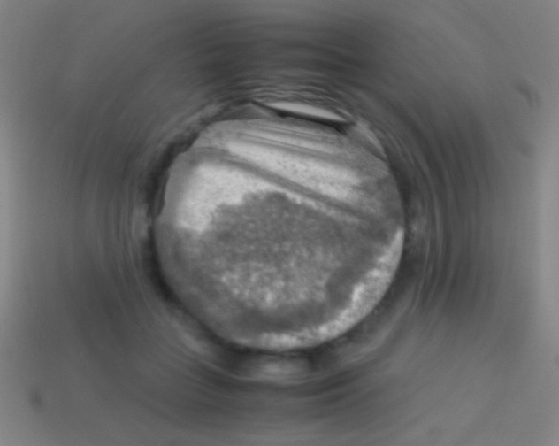 X0000113590555200910161845