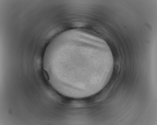 X0000113590556200910161845