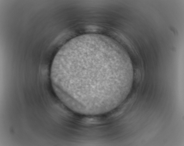 X0000113590557200910161845