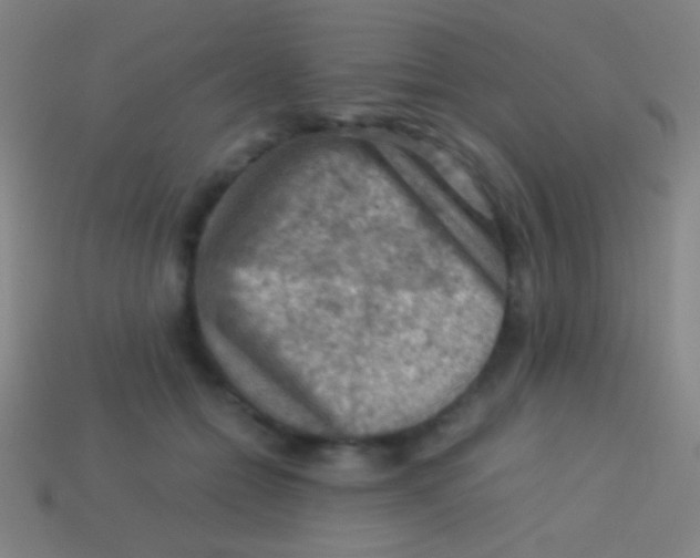 X0000113590558200910161845