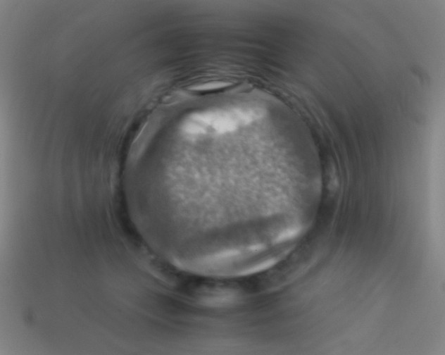 X0000113590559200910161845